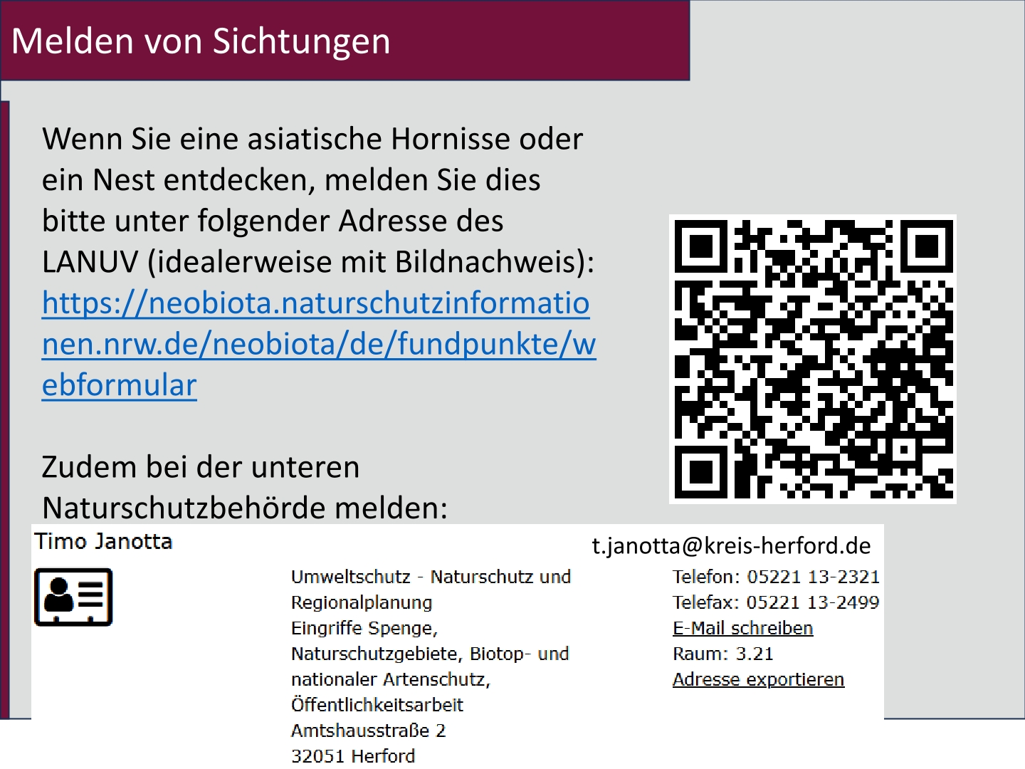 Meldung Asiatische Hornisse