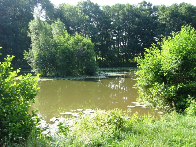 Mühlenburger-Teich