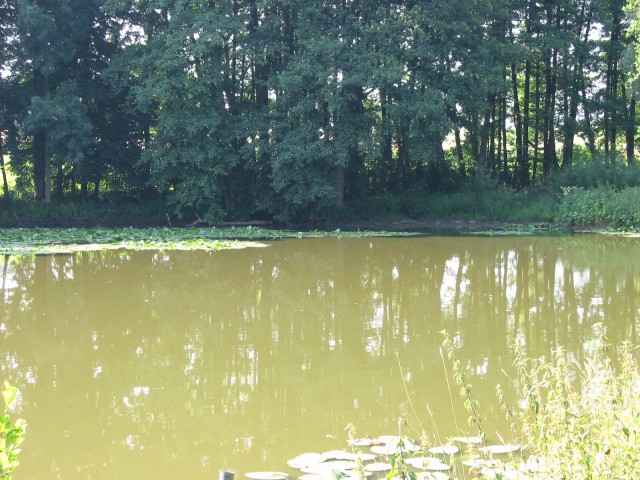 Mühlenburger-Teich
