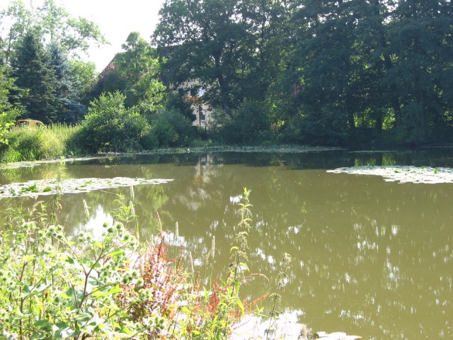 Mühlenburger-Teich