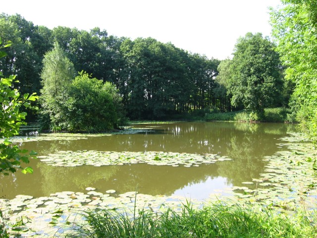 Mühlenburger-Teich