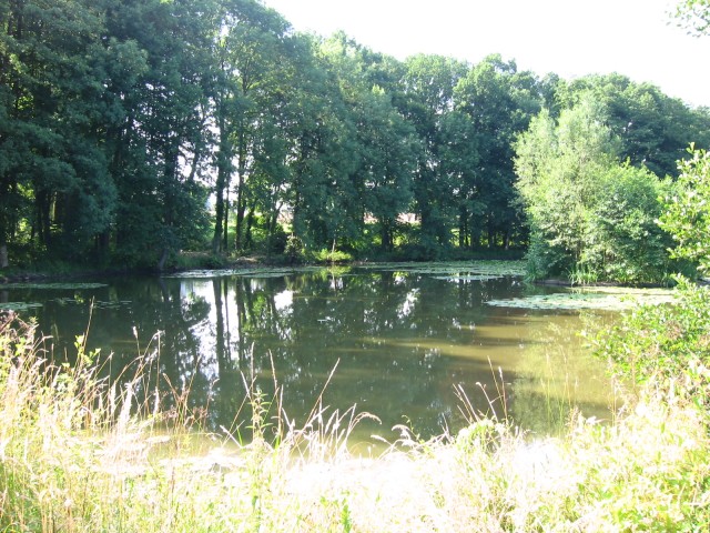 Mühlenburger-Teich