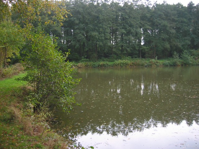 Obermann-Teich