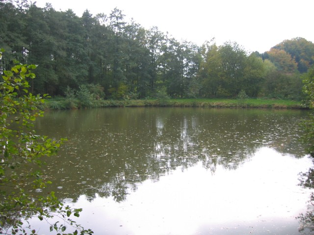 Obermann-Teich