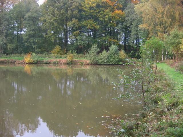 Obermann-Teich