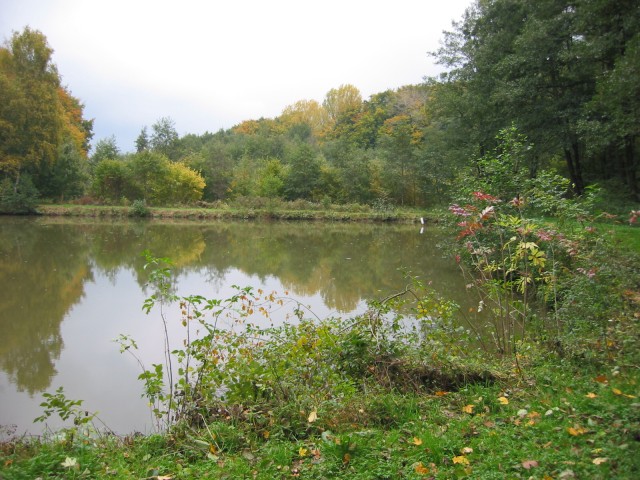 Obermann-Teich