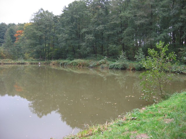 Obermann-Teich