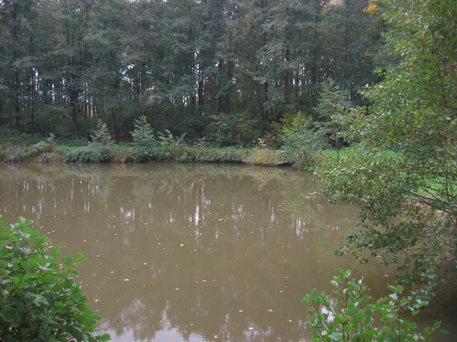 Obermann-Teich