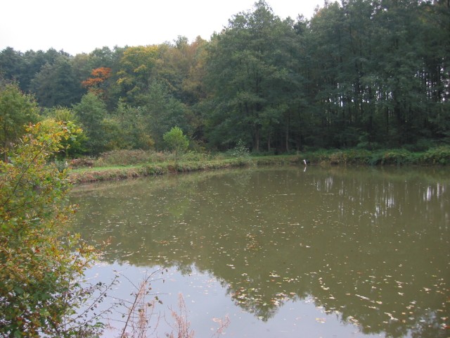 Obermann-Teich