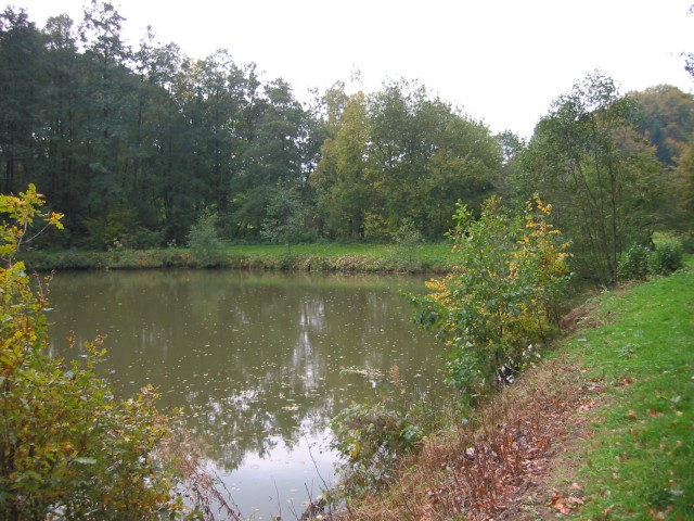 Obermann-Teich