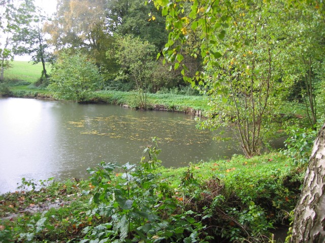 Nieder-Vahrenholz-Teich