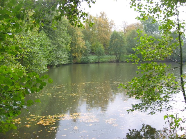 Nieder-Vahrenholz-Teich
