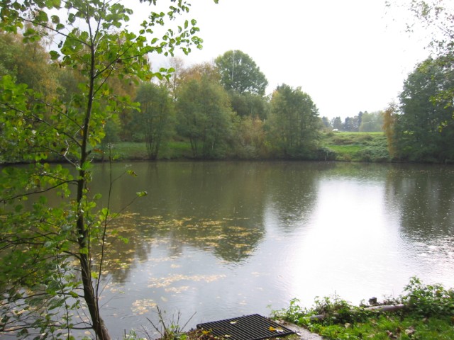 Nieder-Vahrenholz-Teich
