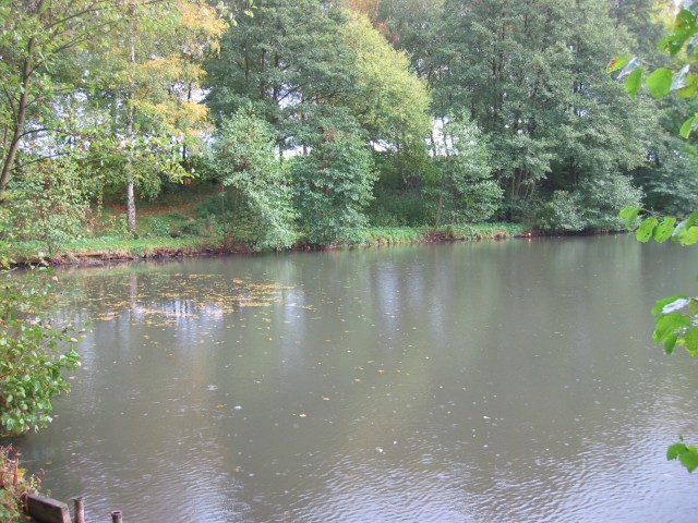 Nieder-Vahrenholz-Teich