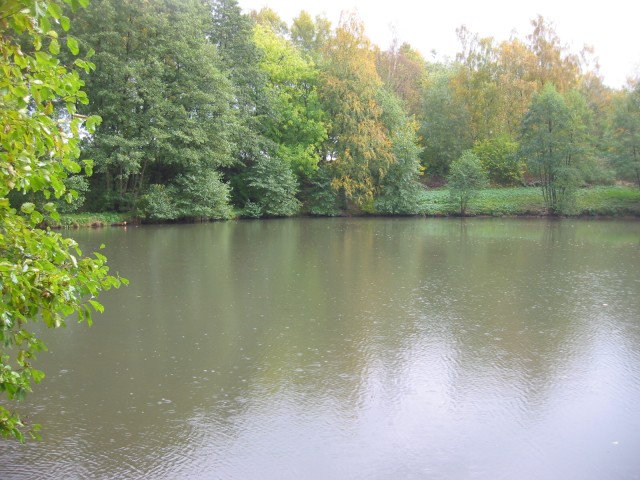 Nieder-Vahrenholz-Teich