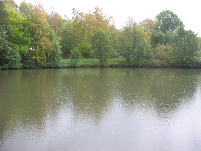 Nieder-Vahrenholz-Teich