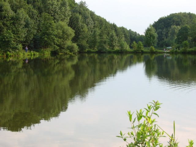 Vollmer-Teich 1