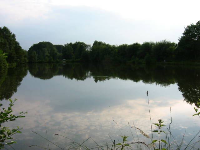 Vollmer-Teich 1