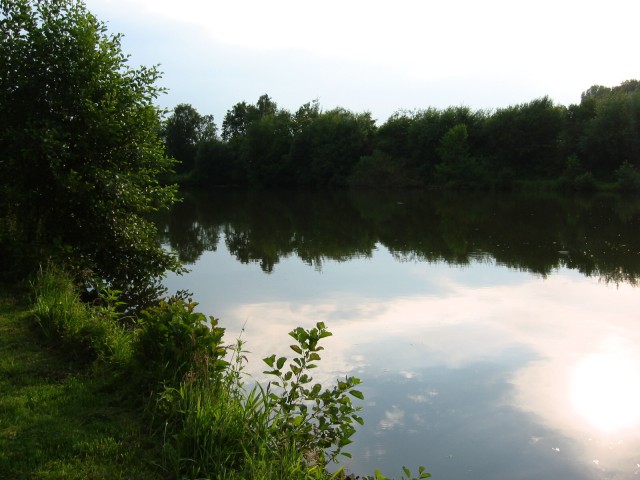 Vollmer-Teich 1