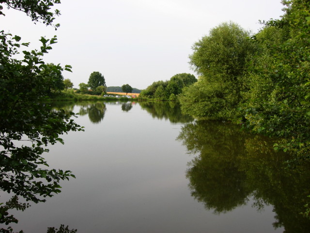 Vollmer-Teich 1