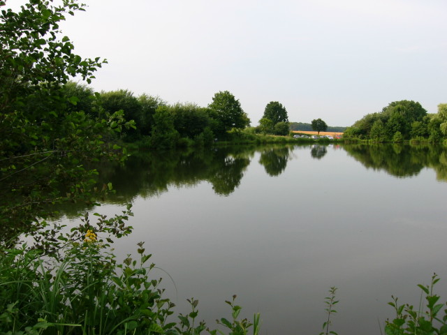 Vollmer-Teich 1