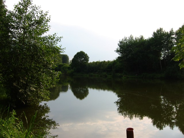 Vollmer-Teich 2