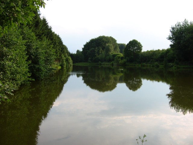 Vollmer-Teich 2
