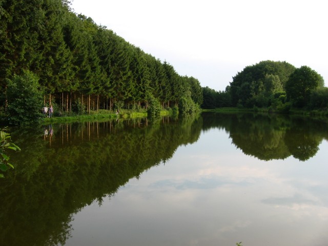 Vollmer-Teich 2