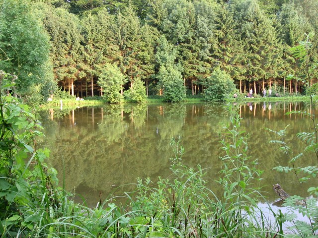 Vollmer-Teich 2