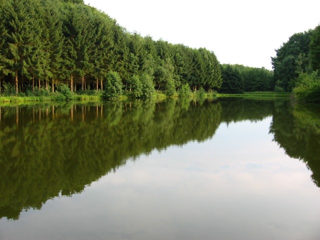 Vollmer-Teich 2