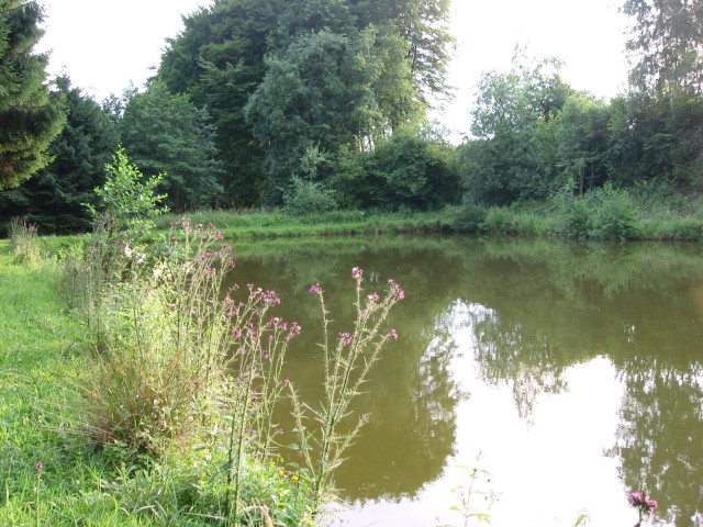 Vollmer-Teich 2