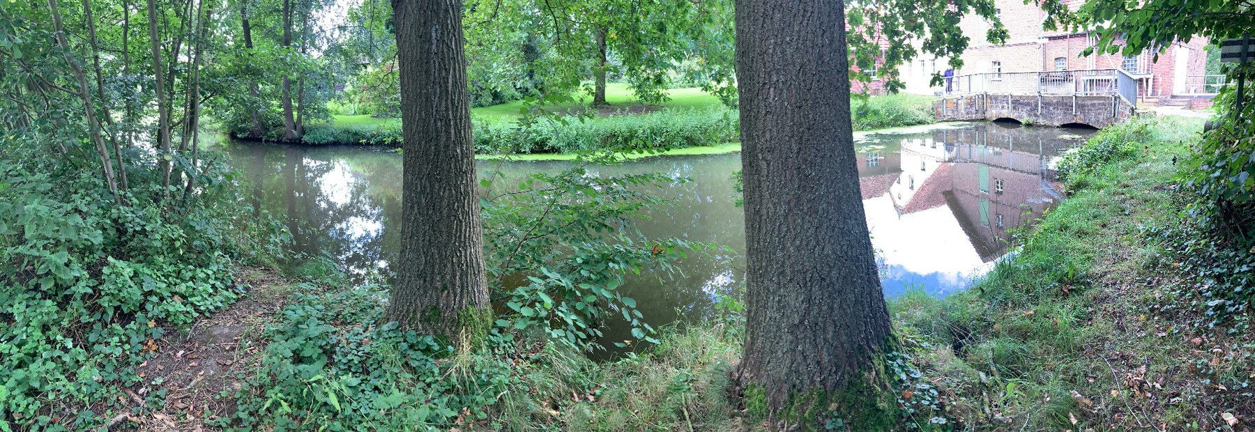 Warmenau im Bereich der Martmühle