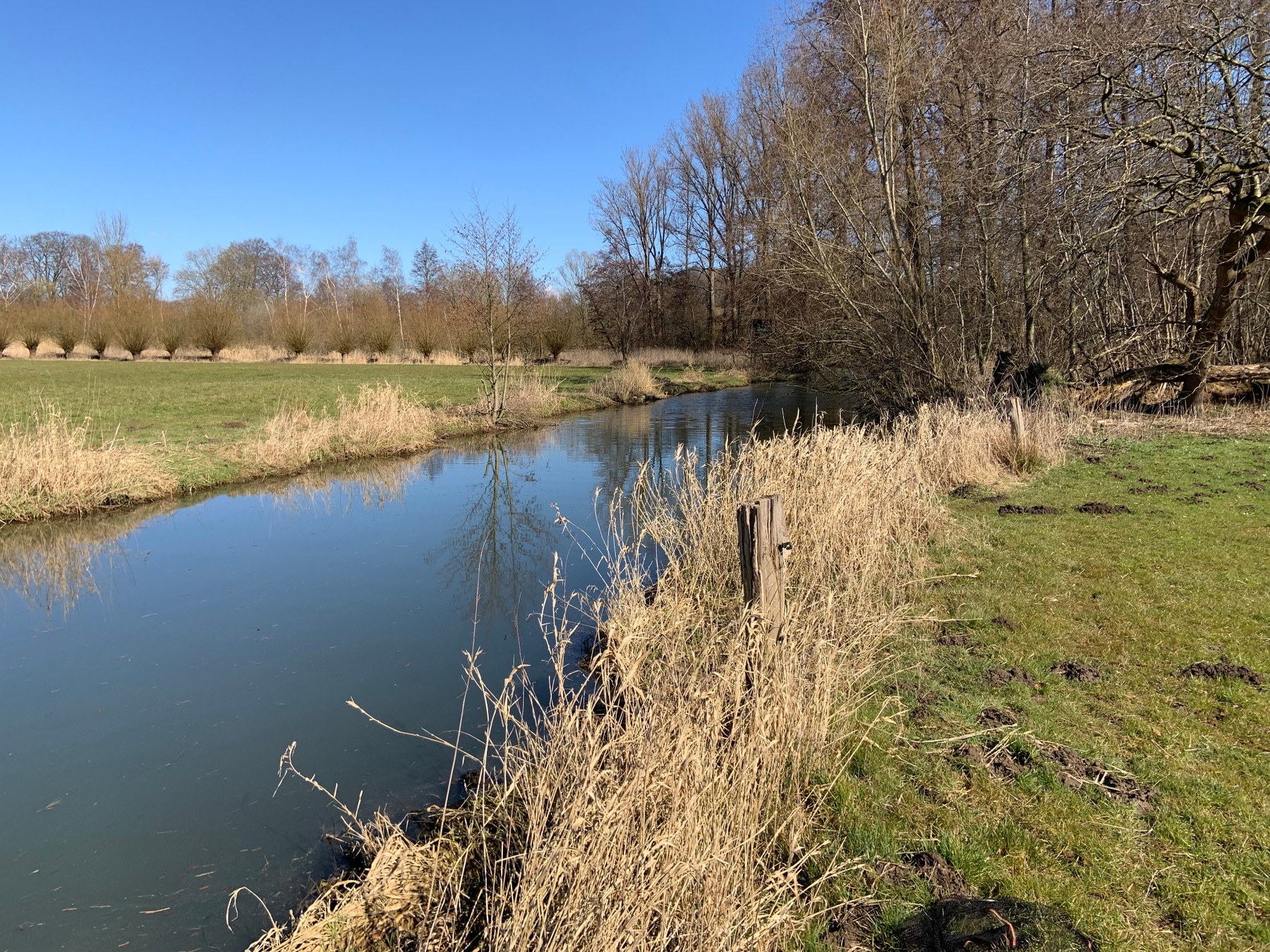 Warmenau oberhalb der Martmühle entlang von Wiesen und Gehölzen